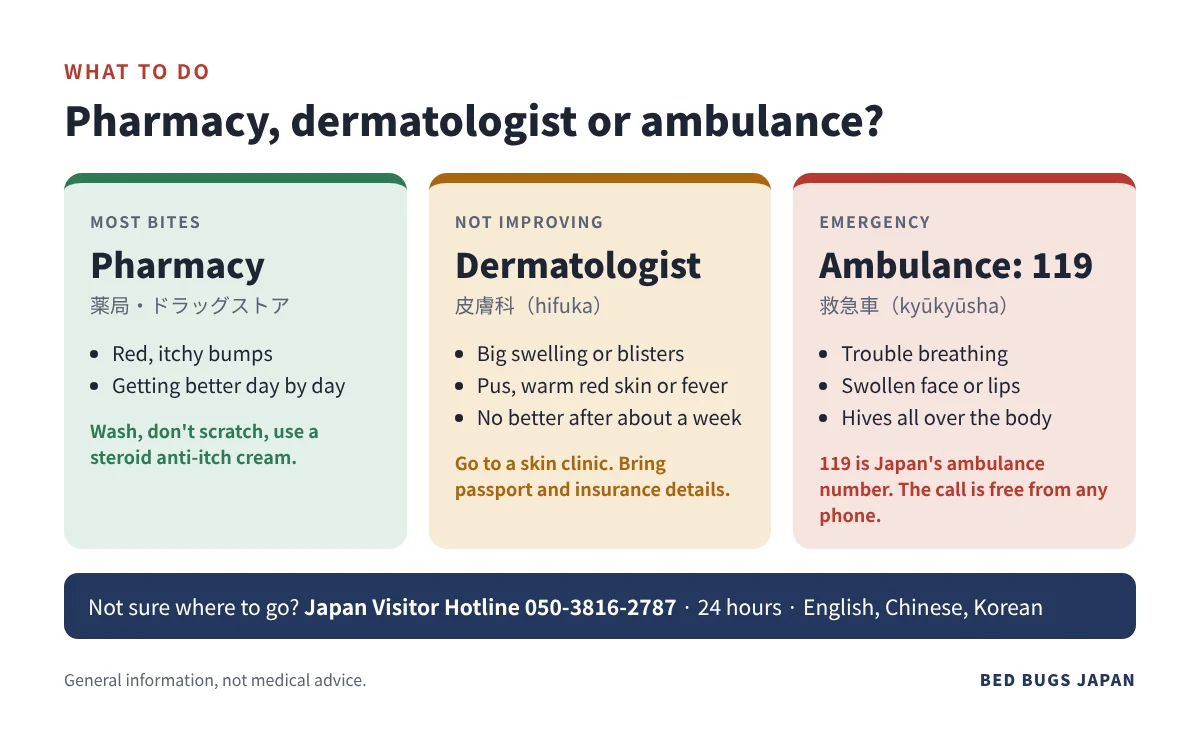 Guide: pharmacy for most bites, dermatologist if not improving, call 119 (Japan's ambulance number) for breathing trouble or facial swelling; Japan Visitor Hotline 050-3816-2787